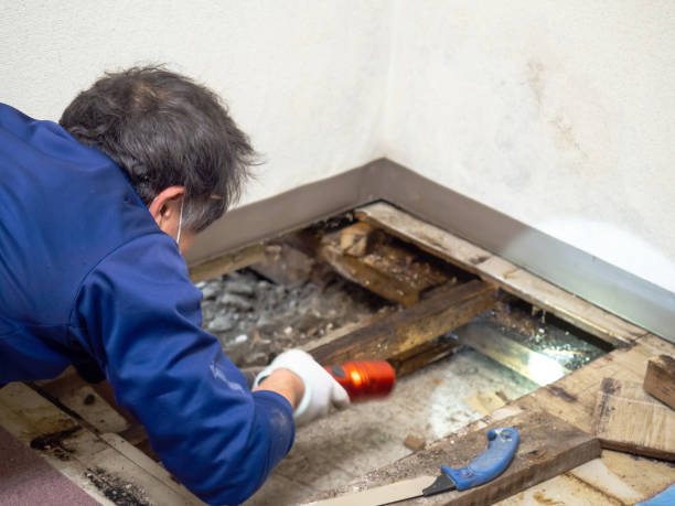 Best Office Mold Removal Services  in Baraboo, WI