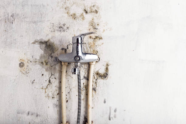 Best Mold Remediation Services  in Baraboo, WI