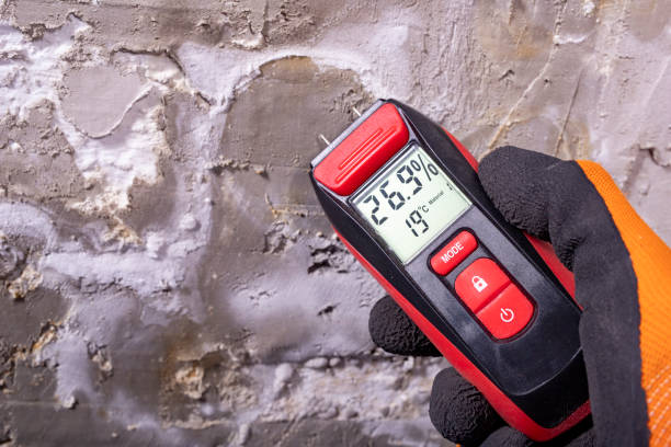 Best Mold Cleaning Services  in Baraboo, WI