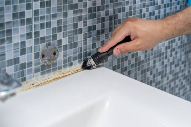 Best Mold Remediation  in Baraboo, WI