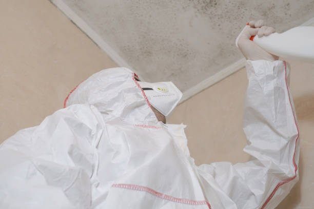 Best Emergency Mold Removal  in Baraboo, WI