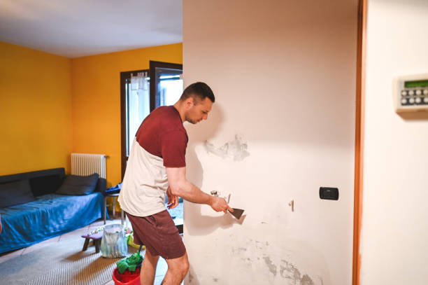 Best Local Mold Removal Service  in Baraboo, WI